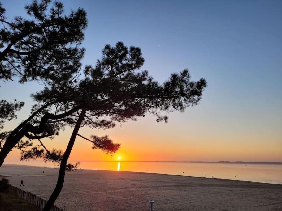 Maison Centre-Ville De La Teste Au Calme Esterno foto